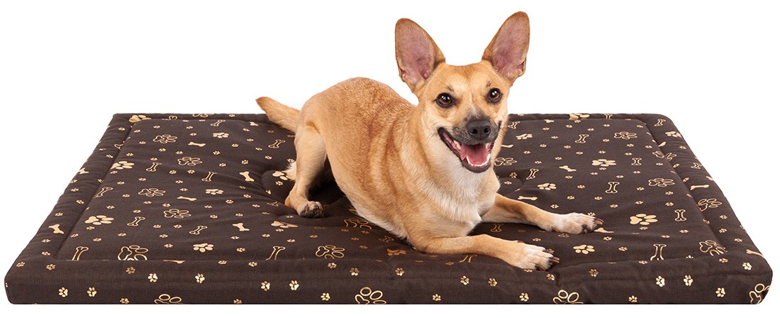 Nepremokavý matrac pre psov 60x70 HNEDÝ so vzorom 5cm pena