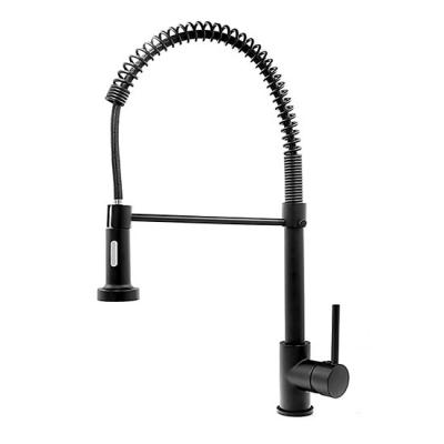 Kuchyňská baterie se sprchou SPIRAL černá