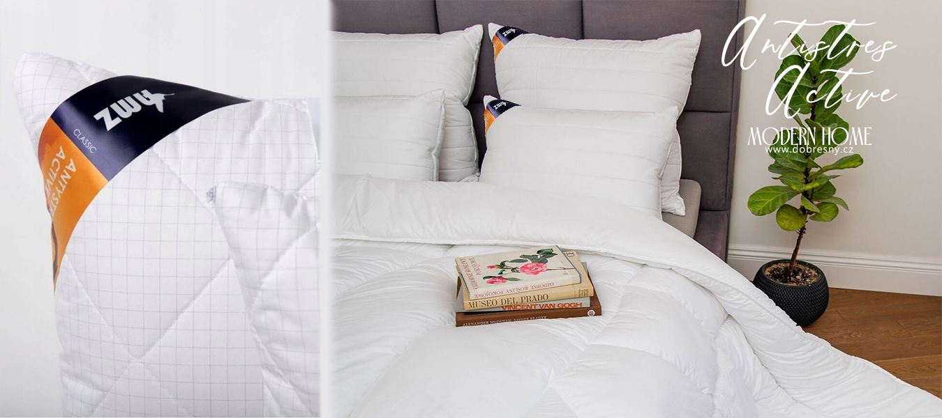 Polštář ANTISTRESS ACTIVE 40x40cm