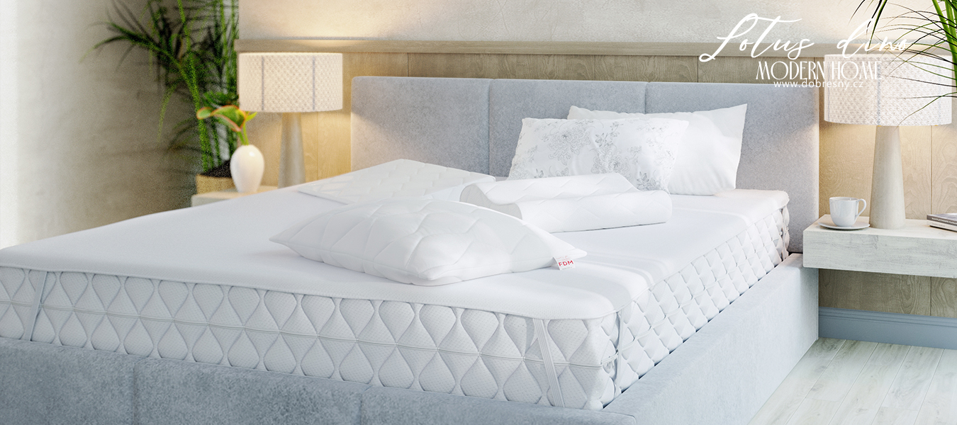 Dětský polštář LOTUS DINO 40x40cm